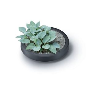 Water barrel lid with plant