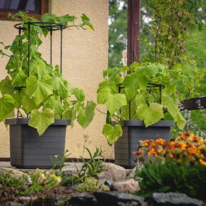 self-watering flower box