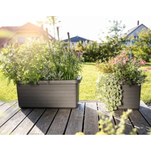 self-watering flower box