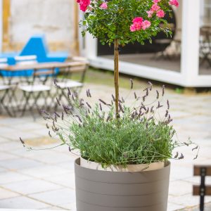 self-watering flower box