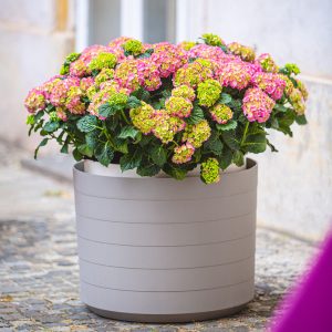 self-watering flower box