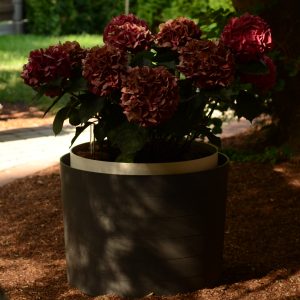 self-watering flower box