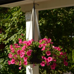 hanging self-watering flower pot