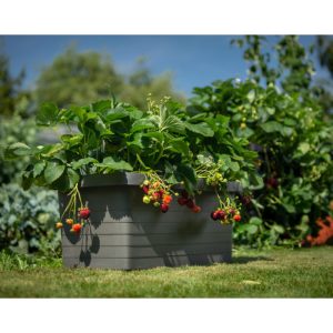 self-watering flower box