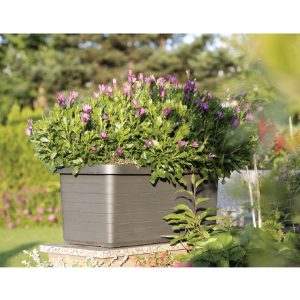 self-watering flower box