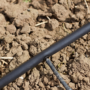 solar watering system