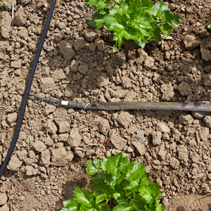 microporous hose for solar watering system