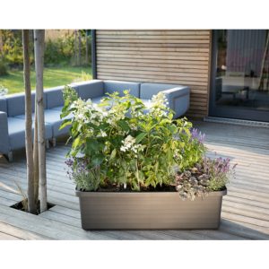 self-watering flower box