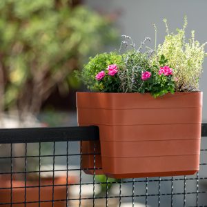 Self-watering rail flower box Berberis on fence