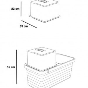 blueprint for Growing cover for Berberis