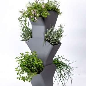 Self-watering flower pot for herbs