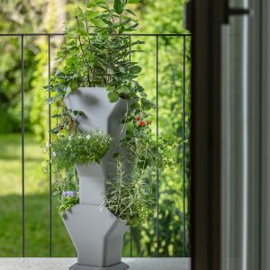 Self-watering flower pot for herbs on terrace