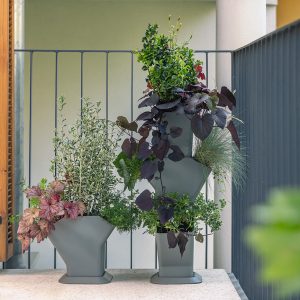 Self-watering flower pot for herbs on balcony