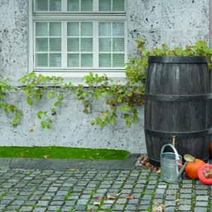 Rainwater barrel BURGUND 500l connected to the drain.