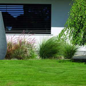 Rainwater barrel in the shape of a DROP.