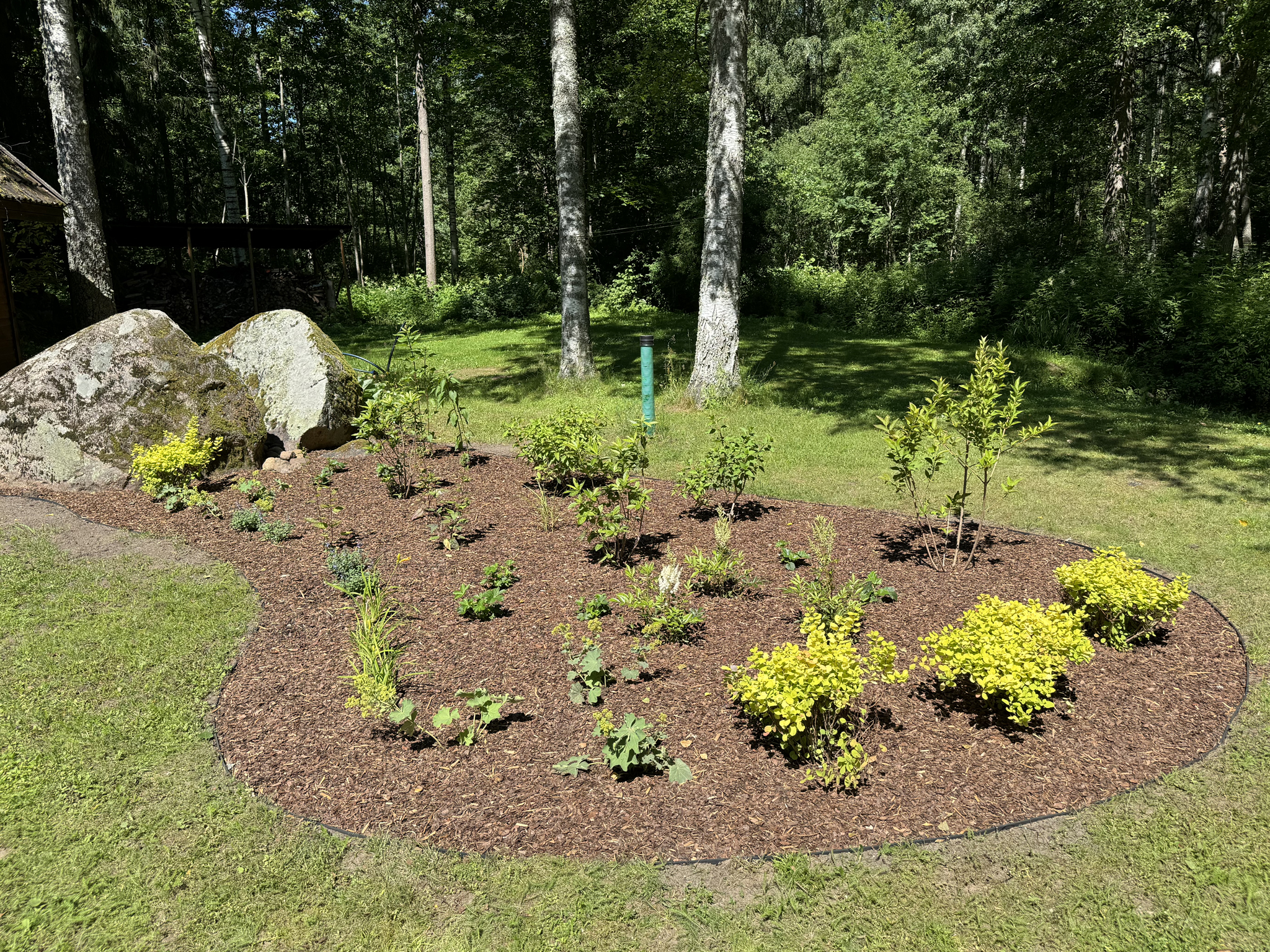 Flower bed after the reconstruction