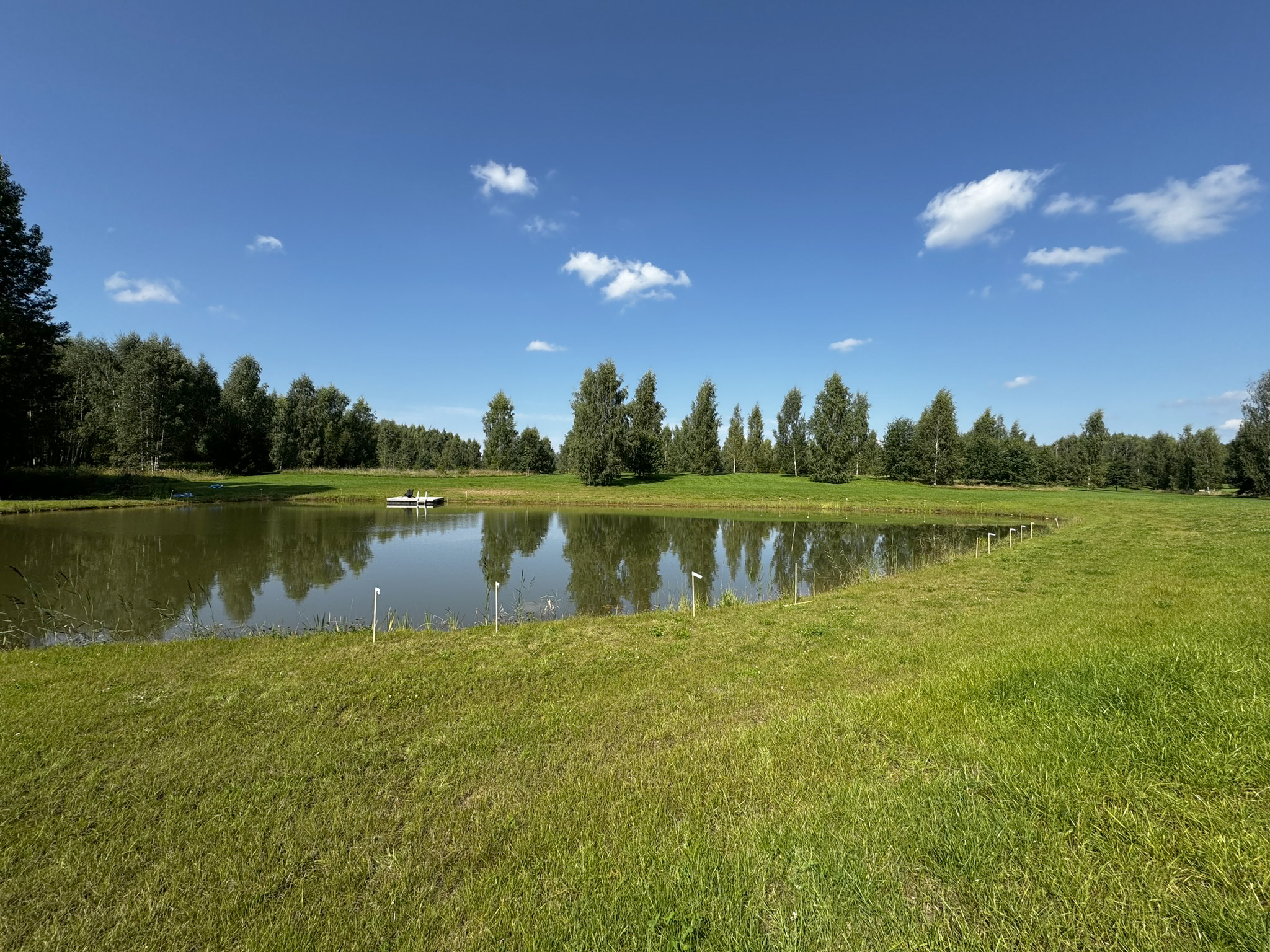 Greening of the pond